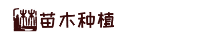 k8凯发